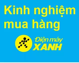 Logo Điện Máy Xanh