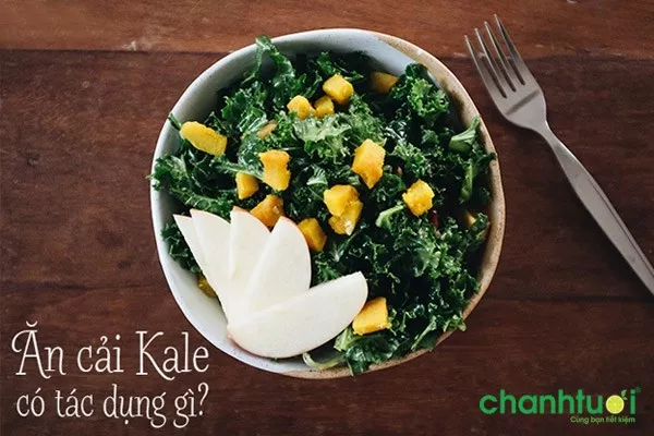 Lợi ích của cải kale