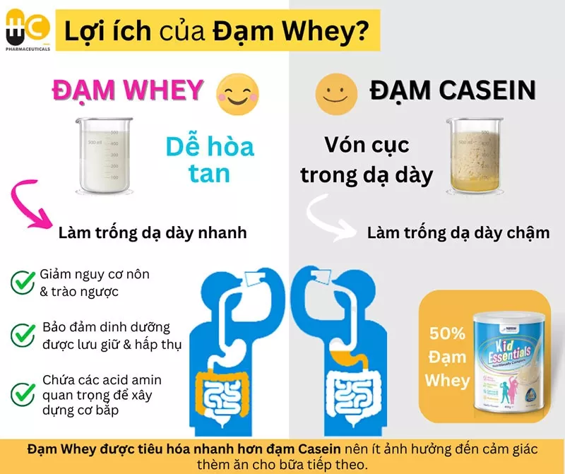 Lợi ích của đạm Whey