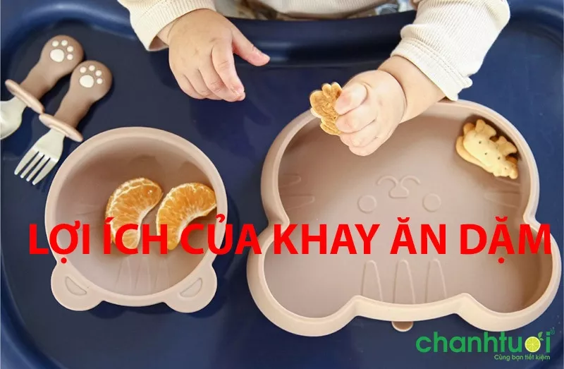 Lợi ích khay ăn dặm