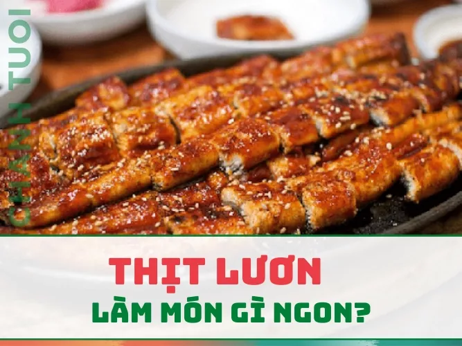 Lươn làm món gì ngon? Tổng hợp các công thức dễ chế biến