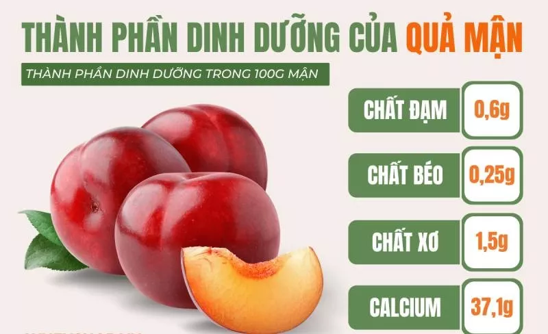 Mận là loại trái cây chứa nhiều chất dinh dưỡng