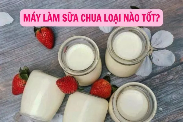 Máy làm sữa chua tại nhà