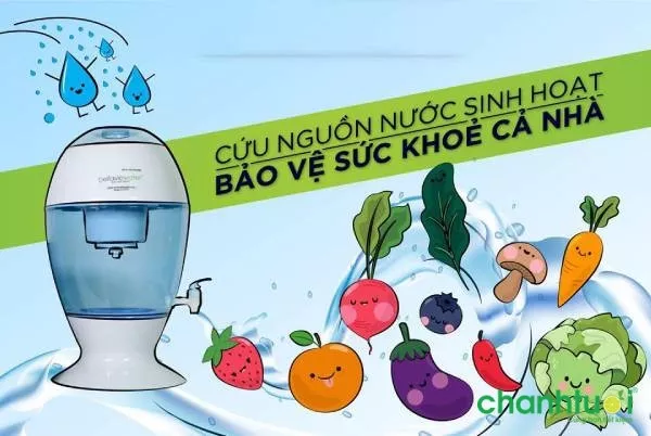 Máy lọc nước Bellavie Water