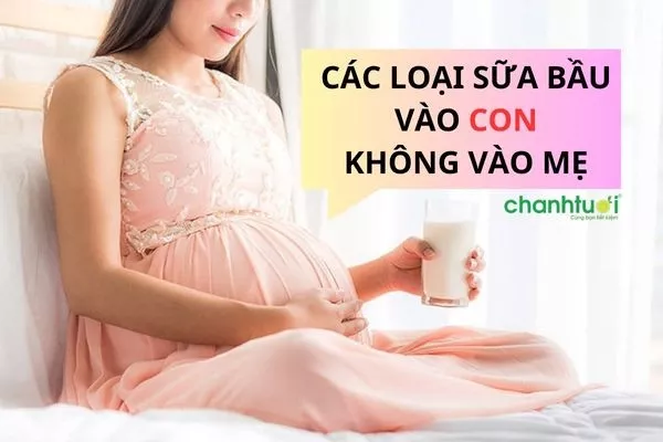 Mẹ bầu đang lựa chọn sữa