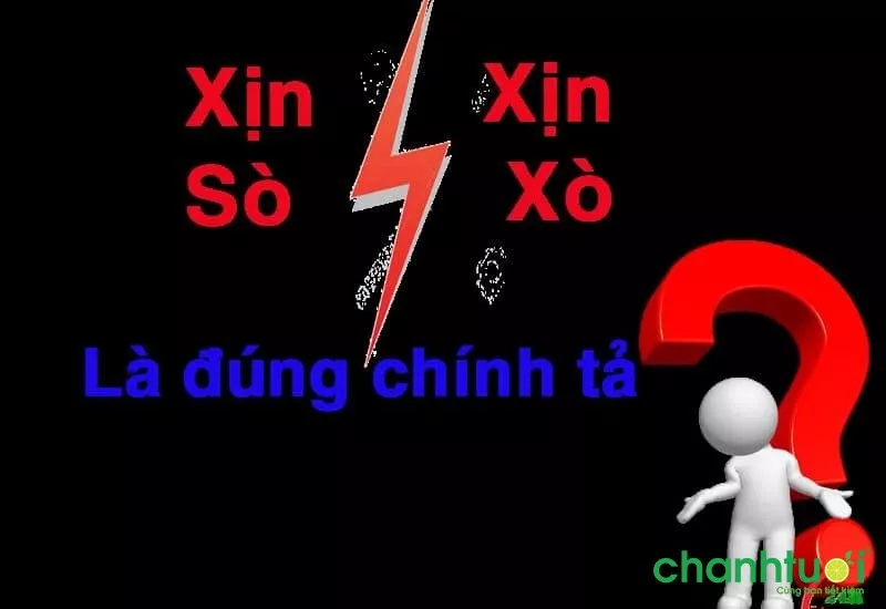 Mô tả hình ảnh: Chiếc giày thể thao hàng hiệu được đặt trên kệ.