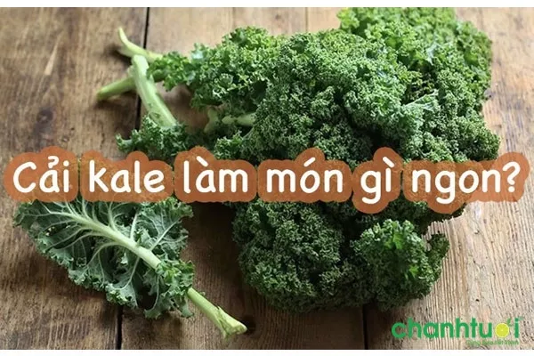 Món ngon từ cải kale