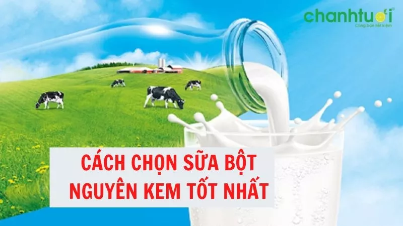 Một số tiêu chí chọn sữa dạng bột nguyên kem tốt nhất