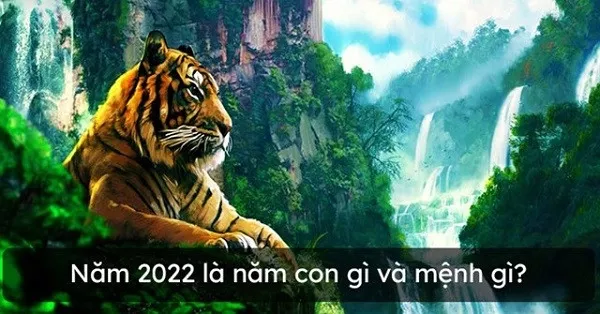 Năm 2022 là năm con gì?