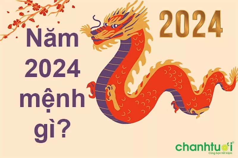 Năm 2024 năm con gì? Năm nay mệnh gì?