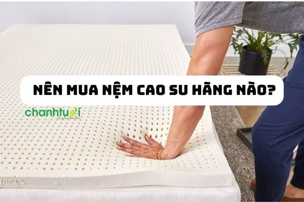 Nên mua nệm cao su hãng nào? Top sản phẩm đáng mua nhất hiện nay