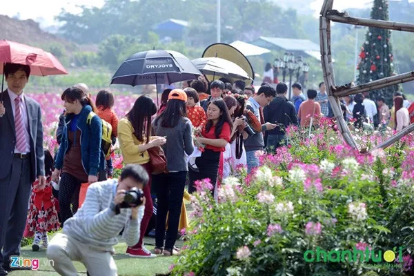 Ngày cuối tuần tại Thung lũng Hoa