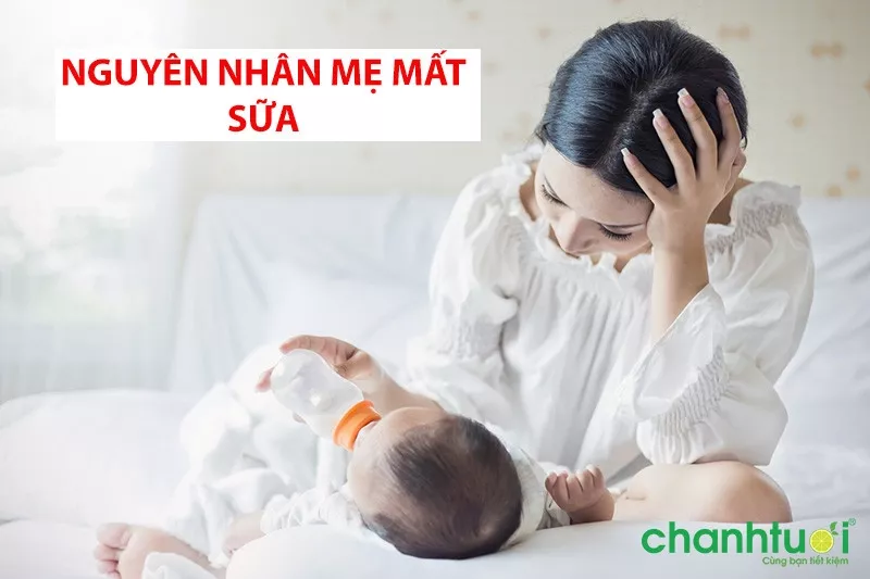 Nguyên nhân mẹ mất sữa