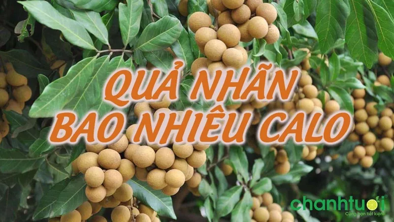 Nhãn chứa nhiều vitamin và khoáng chất