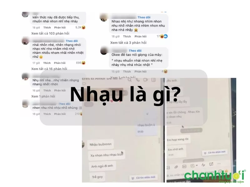 Nhạu là gì? Nhon nhu là gì? Nguồn gốc cụm từ &quot;nhạu nhớ nhon nhu&quot;