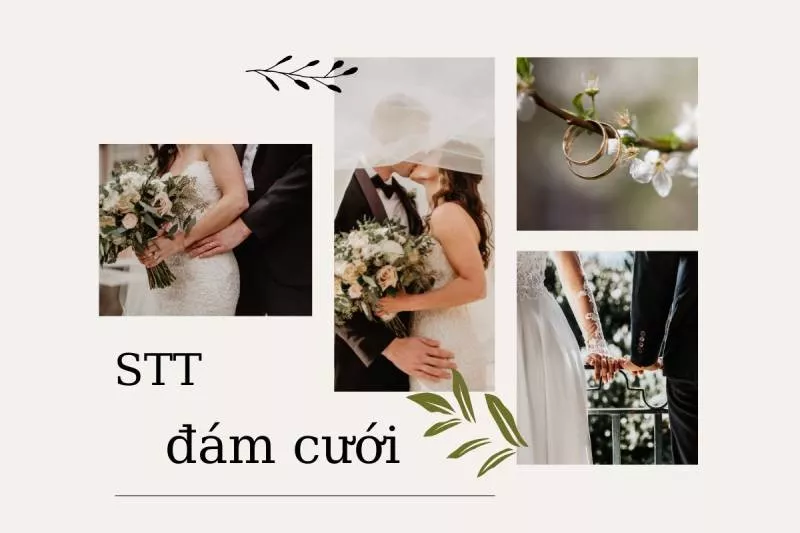 Nhiều stt hay về đám cưới