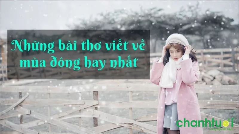 Những bài thơ về mùa đông nói lên tâm trạng 