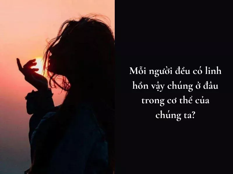 những câu hỏi về cuộc sống (3)