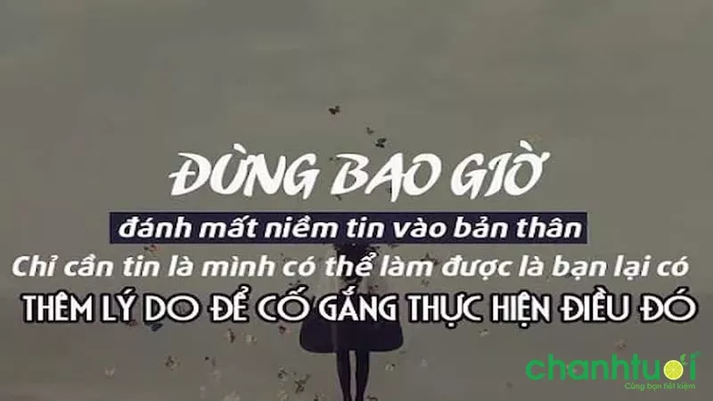 Những câu nói hay về sự cố gắng trong cuộc sống