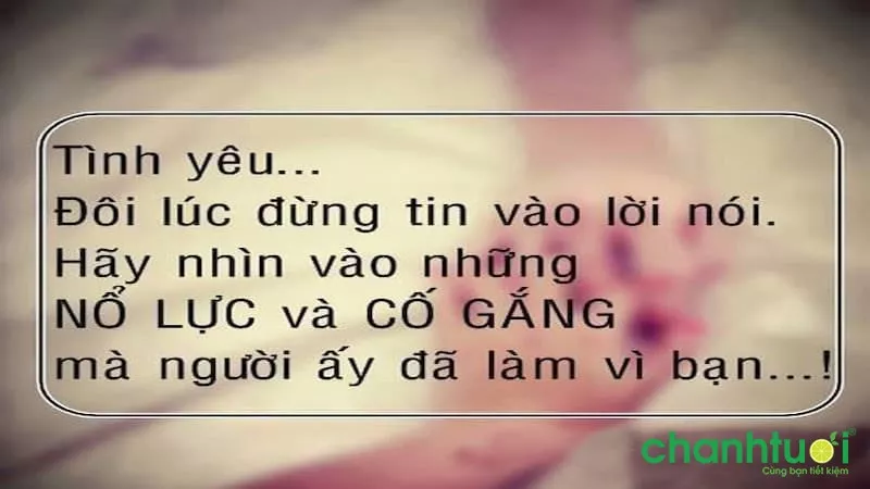 Những câu nói hay về sự cố gắng trong tình yêu 