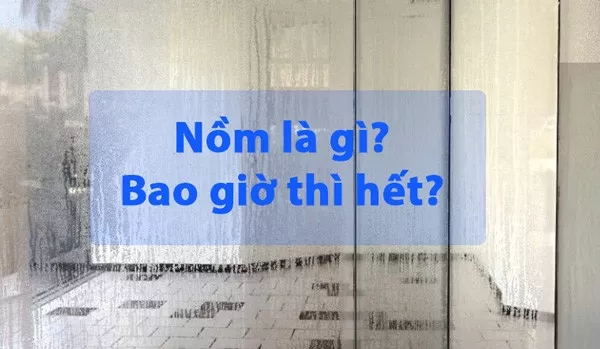 Nồm là gì? Tại sao gọi là nồm? Bao giờ thì hết nồm?