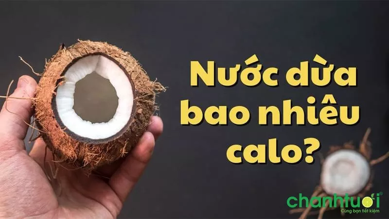 Nước dừa bao nhiêu calo? Uống nước dừa tăng cân hay giảm cân?