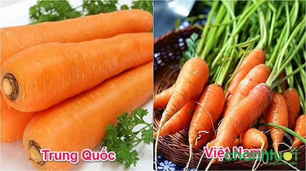 Phân biệt carot Trung Quốc