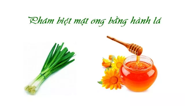 Phân biệt mật ong bằng hành lá