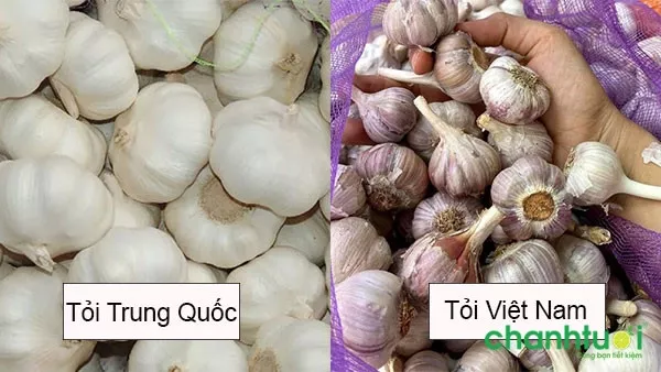 Phân biệt tỏi Trung Quốc và Việt Nam