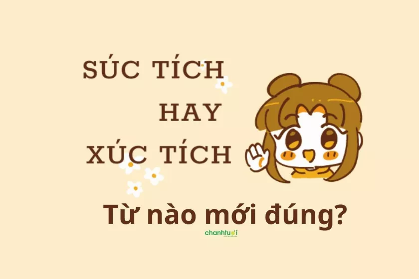 Phân biệt Xúc tích và Súc tích