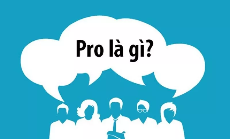 Pro là gì? Những ý nghĩa của từ Pro mà có thể bạn chưa biết