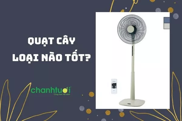 Quạt cây loại nào tốt? Top 15+ quạt tốt nhất nên mua