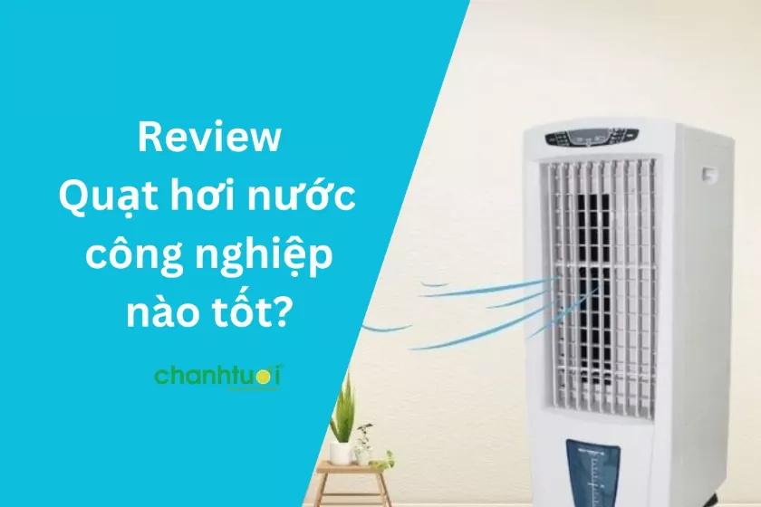 Quạt hơi nước công nghiệp làm mát không gian rộng