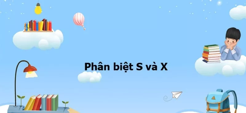 Quy tắc phân biệt X và S