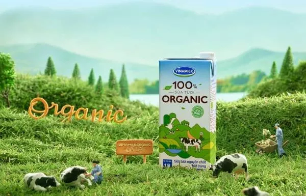 Quy trình sản xuất sữa tươi organic