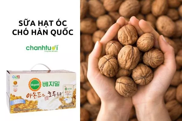 Review 9 loại sữa óc chó Hàn quốc tốt nhất cho bé & mẹ bầu