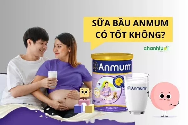 Review sữa bầu Anmum có tốt không? Có dễ uống không?