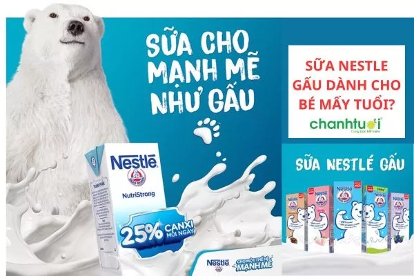 Review Sữa Nestle gấu dành cho trẻ mấy tuổi? Có tốt không?