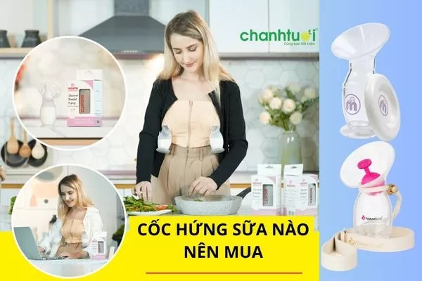 Review Top 10 cốc hứng sữa tốt được mẹ bỉm tin dùng nhất