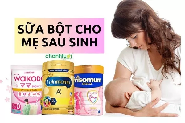 Review Top 10 sữa bột cho mẹ sau sinh tốt cho cả mẹ và bé