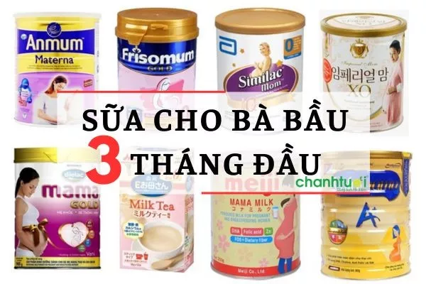 Review TOP 10+ sữa tốt cho bà bầu 3 tháng đầu nên dùng