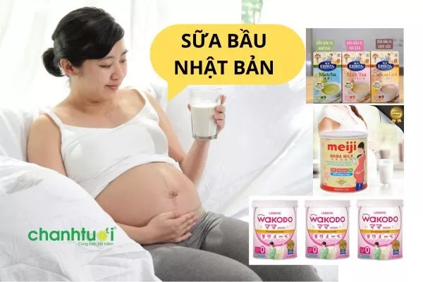 Review TOP 3 loại sữa bầu Nhật tốt nhất hiện nay nên mua