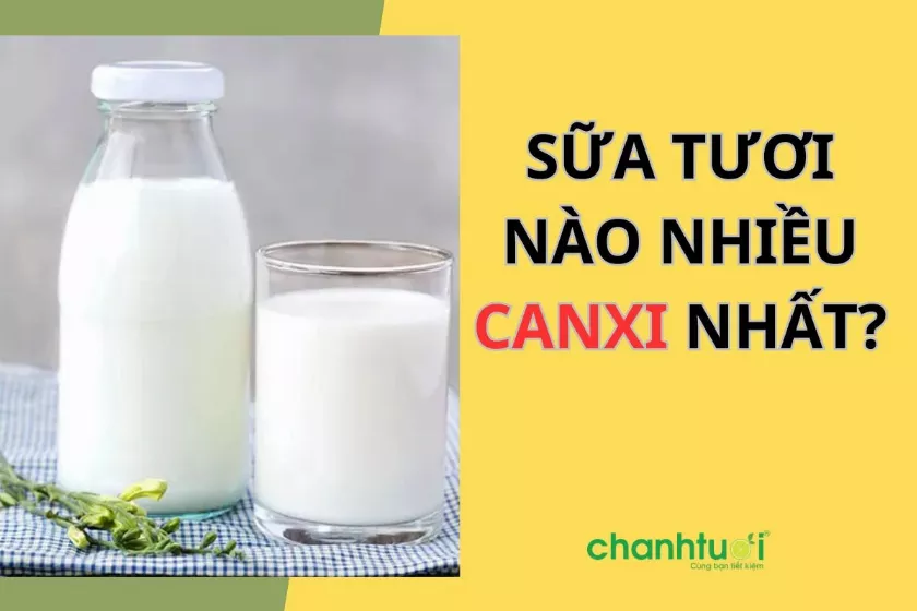 Review top 5 loại sữa tươi nào nhiều canxi nhất hiện nay