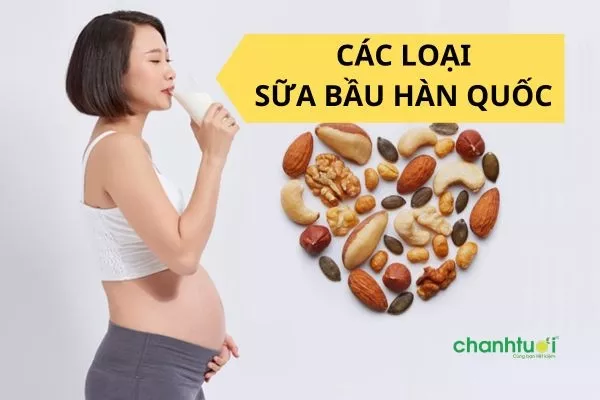 Review top 6 loại Sữa bầu Hàn Quốc tốt nhất, giàu dinh dưỡng