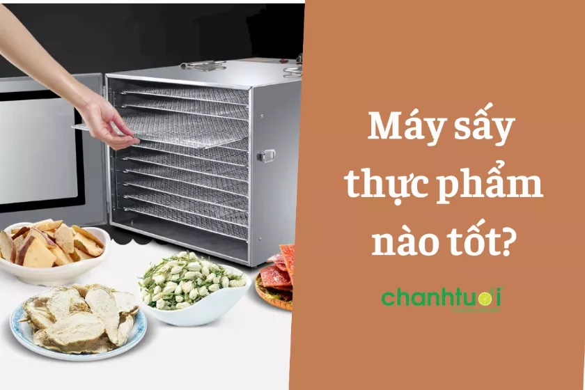 Review Top 6 máy sấy thực phẩm gia đình tốt nhất nên mua 2024