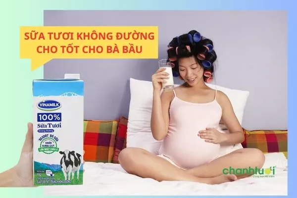 Review TOP 9 sữa tươi không đường cho bà bầu tốt nhất