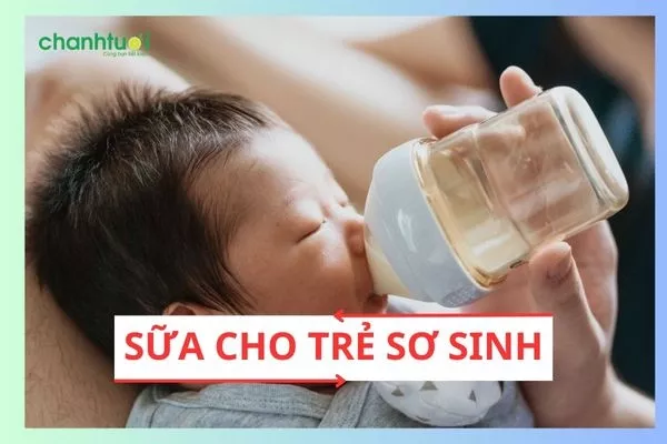 Review Top các loại sữa cho trẻ sơ sinh tốt nhất 2024