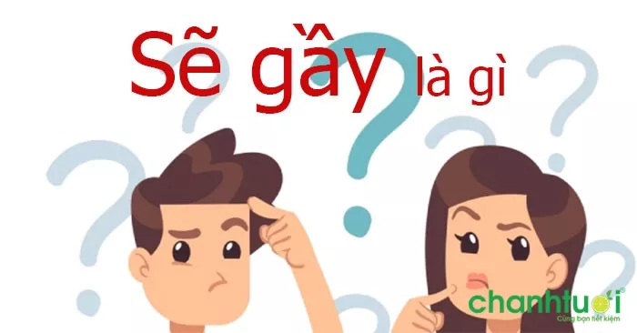 Sẽ gầy là gì?