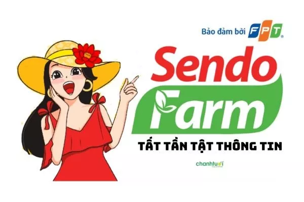 Sendo Farm là gì? Toàn bộ thông tin cập nhật mới nhất