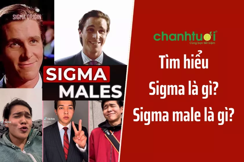 Sigma là gì trên Tiktok, mạng xã hội? Giải nghĩa Sigma Male